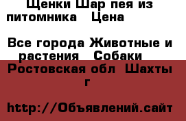 Щенки Шар пея из питомника › Цена ­ 25 000 - Все города Животные и растения » Собаки   . Ростовская обл.,Шахты г.
